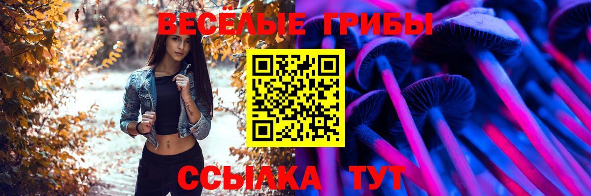 Галлюциногенные грибы Psilocybine cubensis  Вход с VPN  Жуковский  Псилоцибиновые грибы Cubensis 